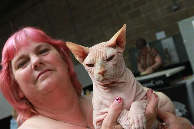 Ru Paul's Drag Race UK star Scaredy Kat coming to Maidstone cat
