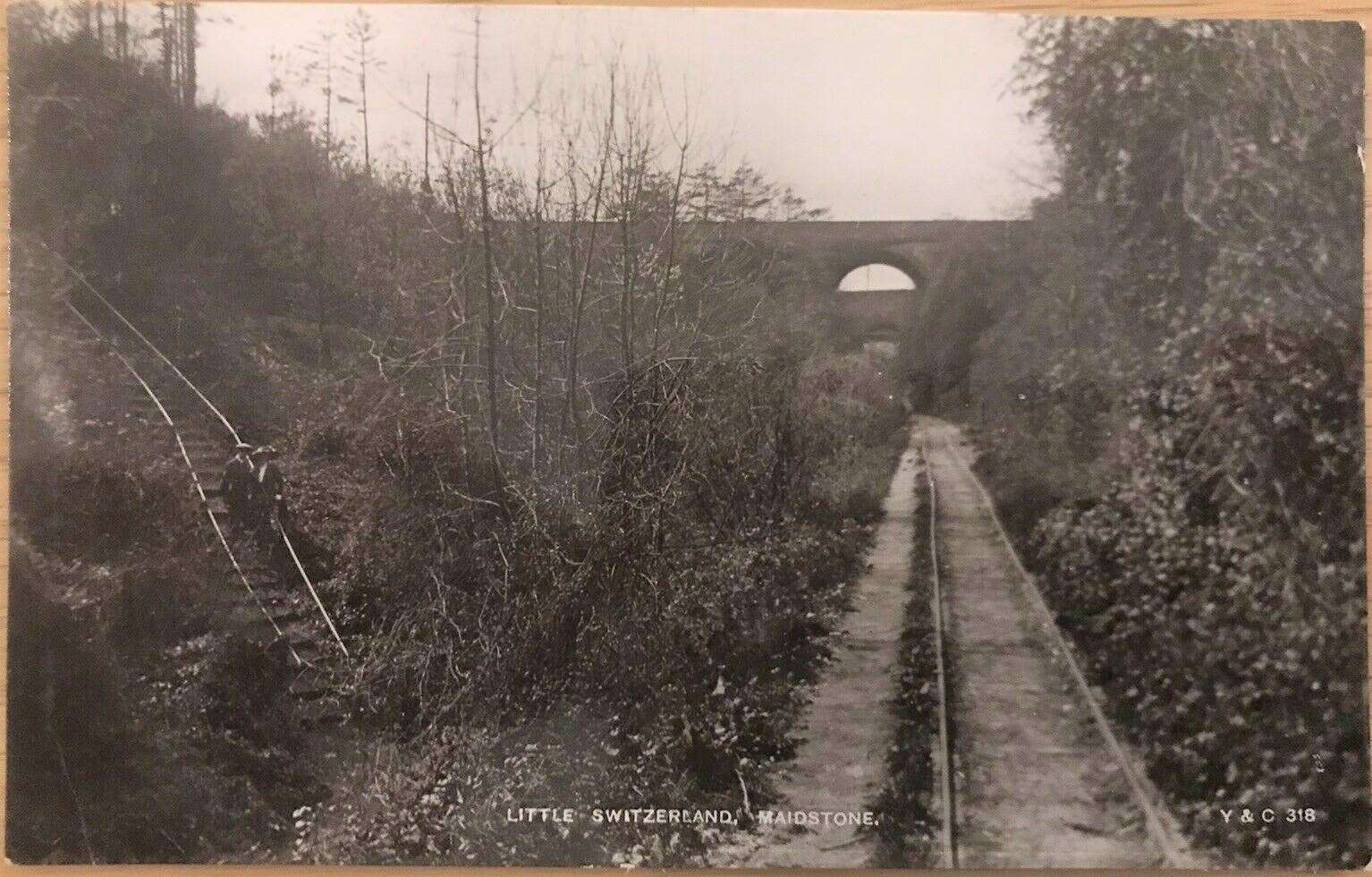 The mystery postcard marked "Little Switzerland" from around 1910