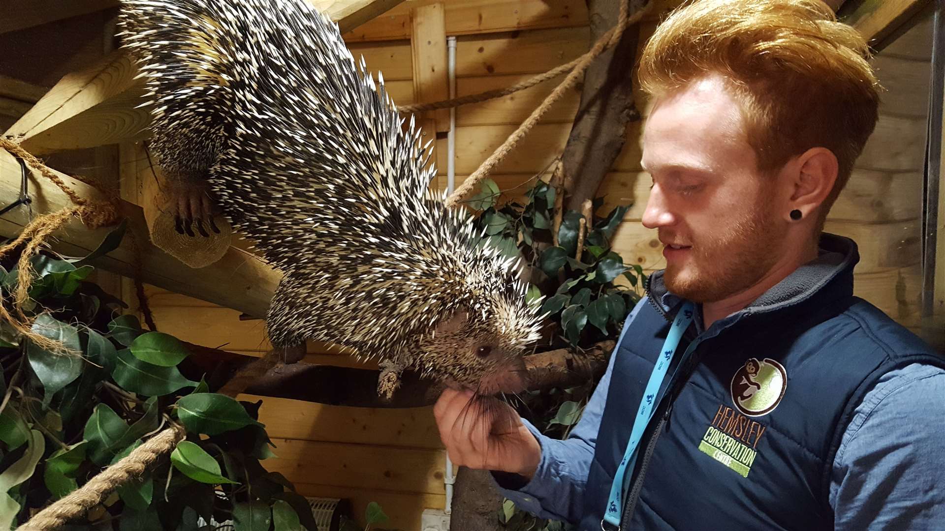 Adam Hemsley opened the zoo in 2015