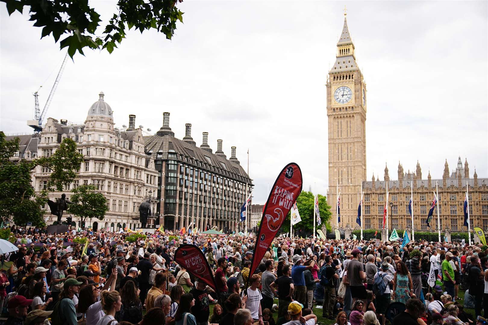 Dame Emma and Chris Packham led protesters to Parliament Square (Aaron Chown/PA)