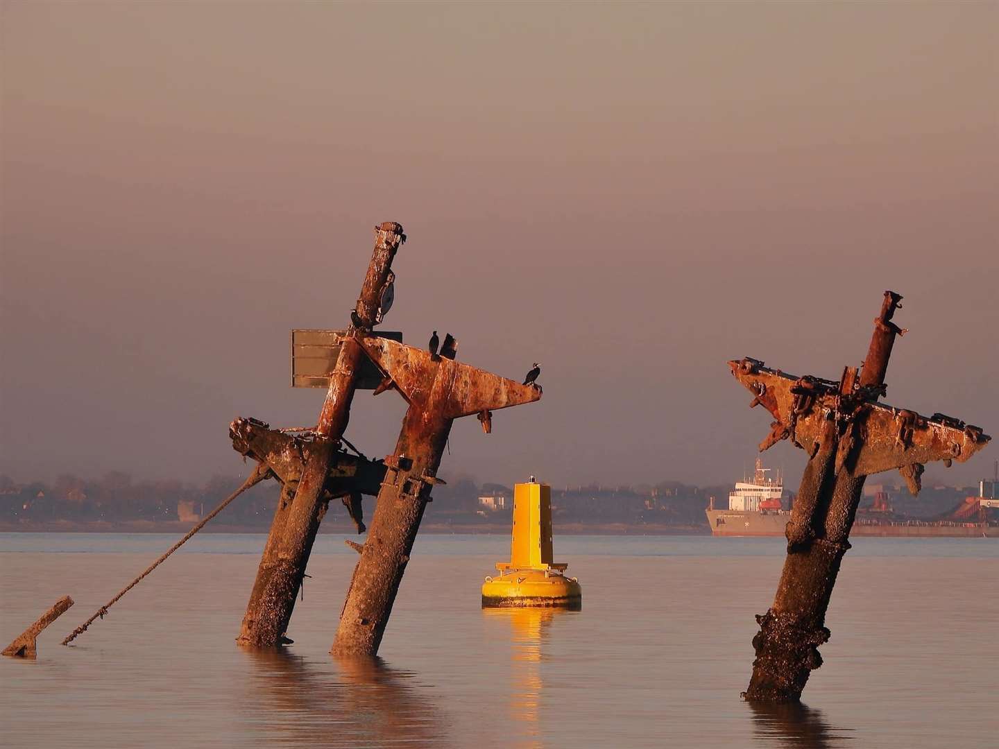 The masts of the SS Richard Montgomery at low tide. Photo: Margaret Flo McEwan