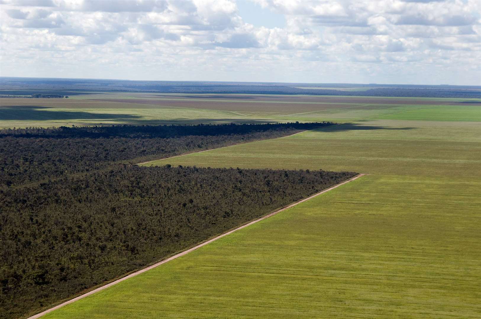 Soy plantations have encroached on the Cerrado in Brazil (Adriano Gambarini/WWF-Brazil/PA)