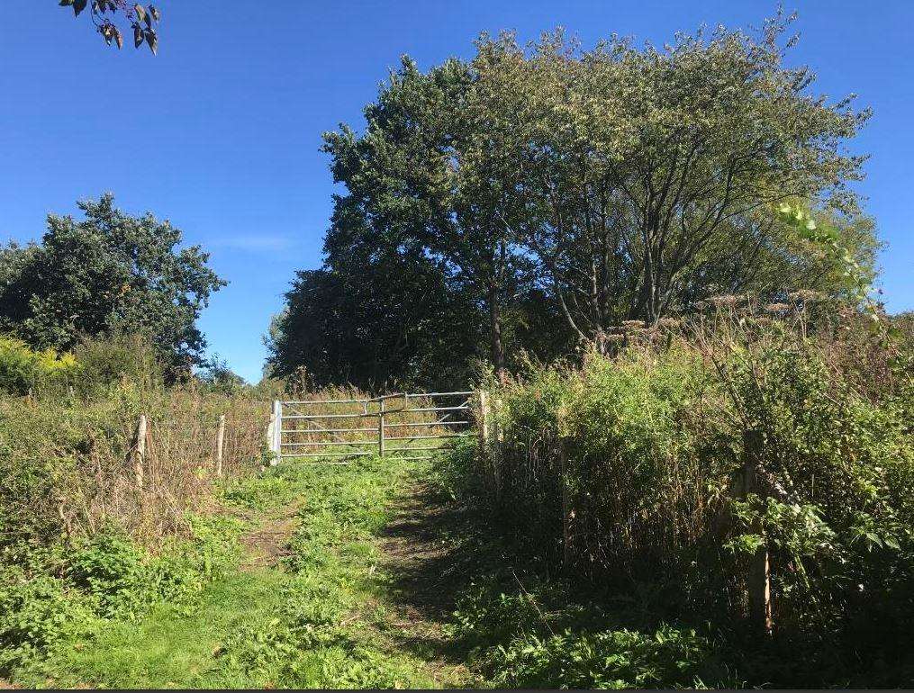 The entrance to the woodland from Chapel Lane (5104756)