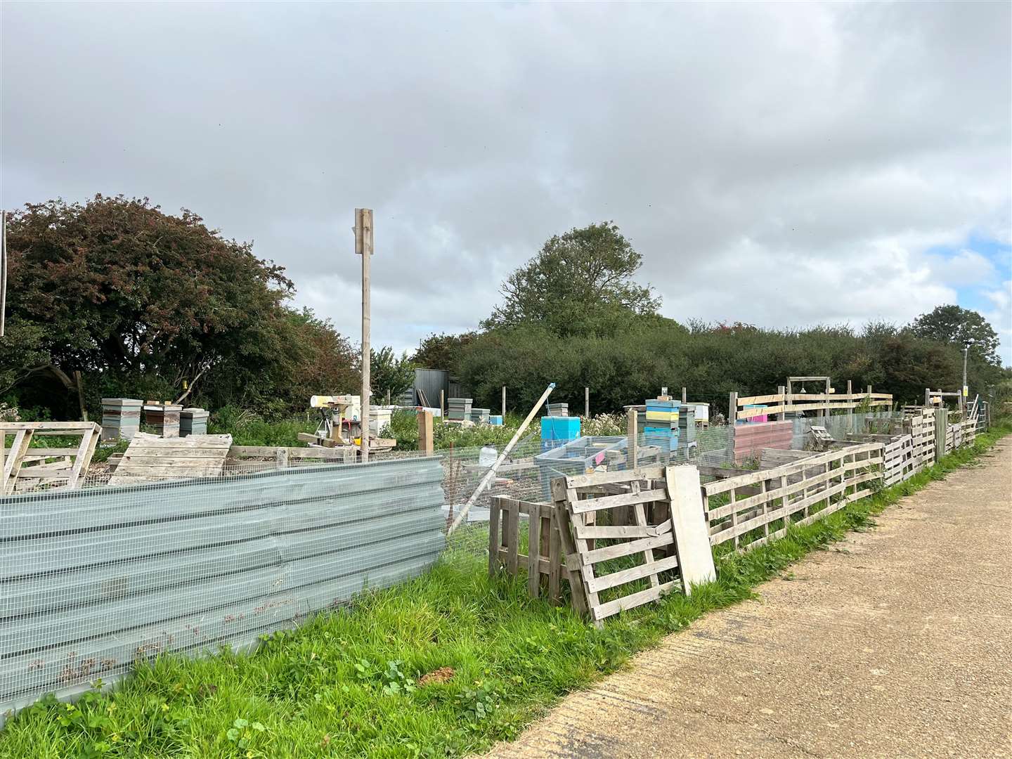 The apiary had roughly 20 hives at the start of the season and has now lost almost 16