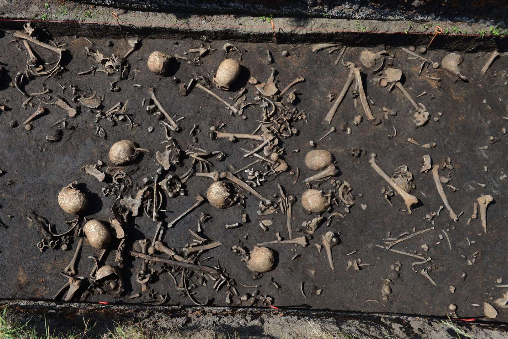 Bones from more than 100 individuals have been discovered on the battlefield (Stefan Sauer/Tollense Valley Project/PA)