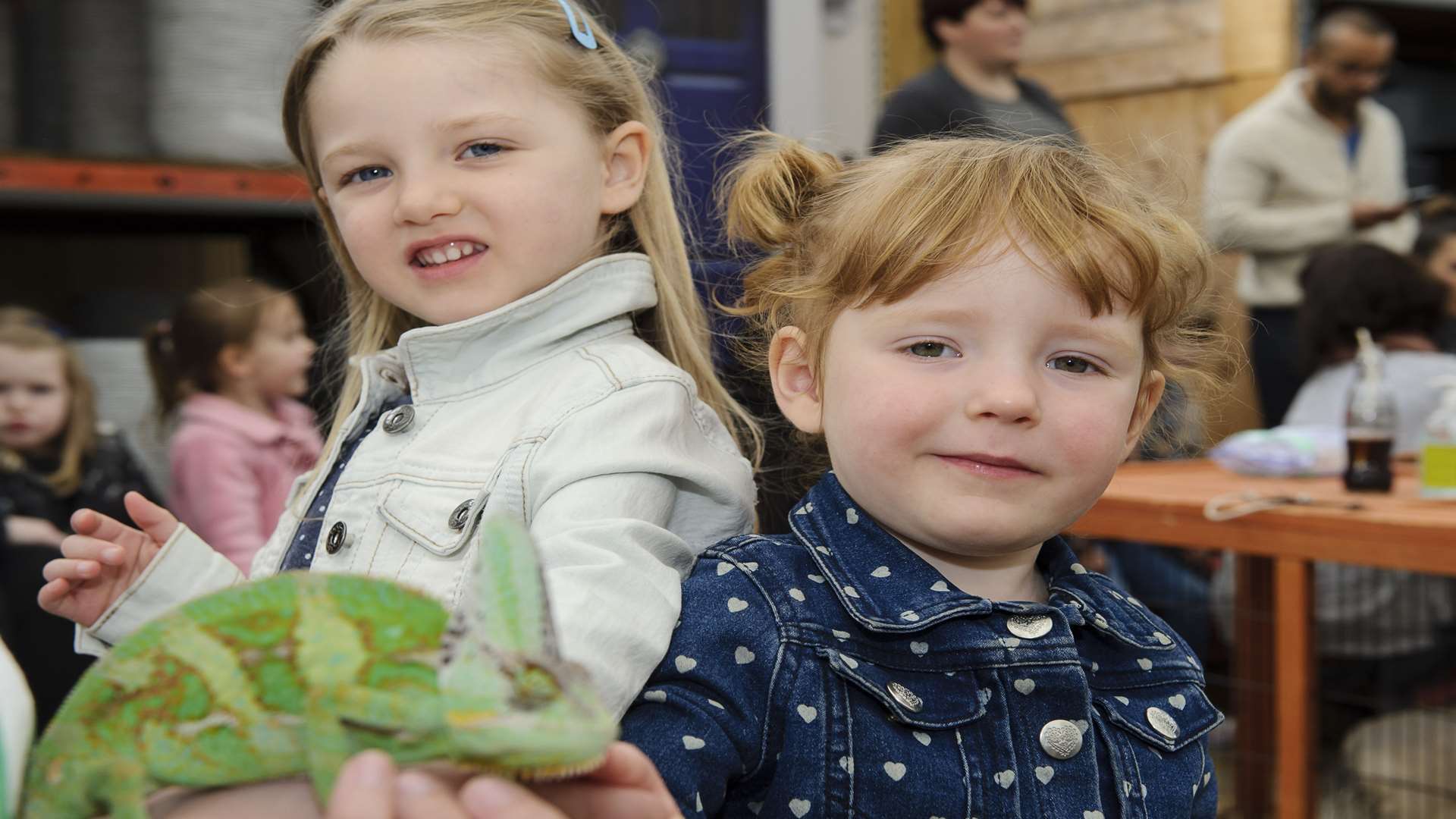 Lilly Wood, 4, left, and Pippa Wood, 3