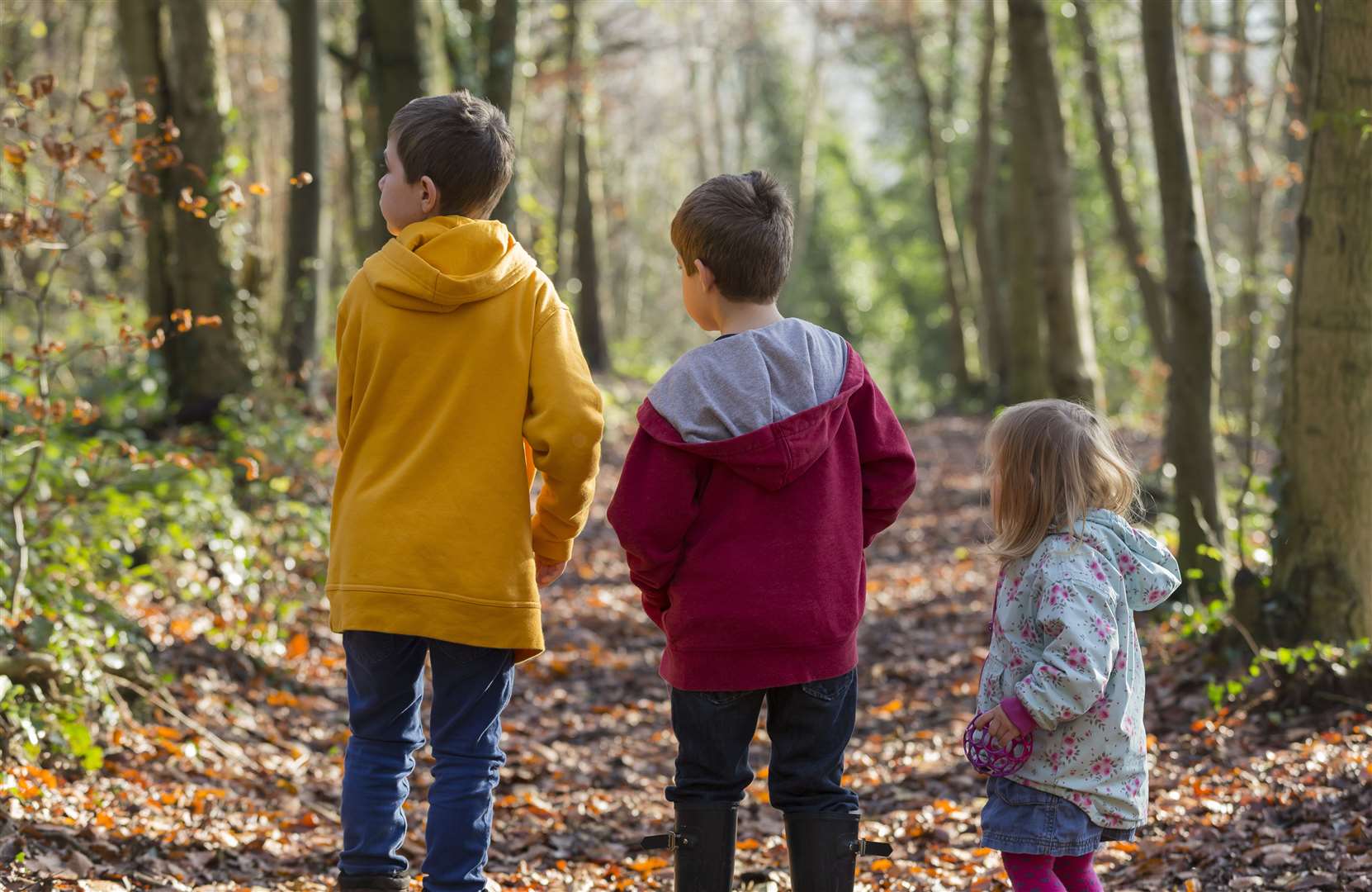 The National Trust has lots of activities this half term Picture: Chris Lacey/National Trust