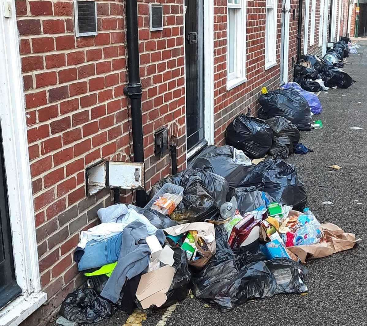 Canterbury City Council says the level of rubbish left by students is unacceptable. Picture: Pat Gorman