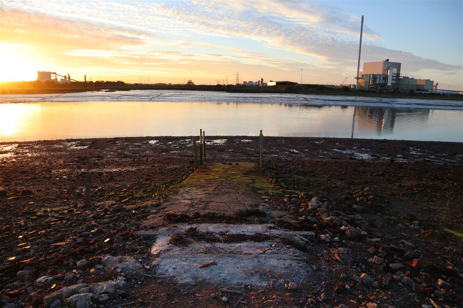 Industry meets wildlife at Elmley Nature Reserve, Sheppey. Picture: John Nurden