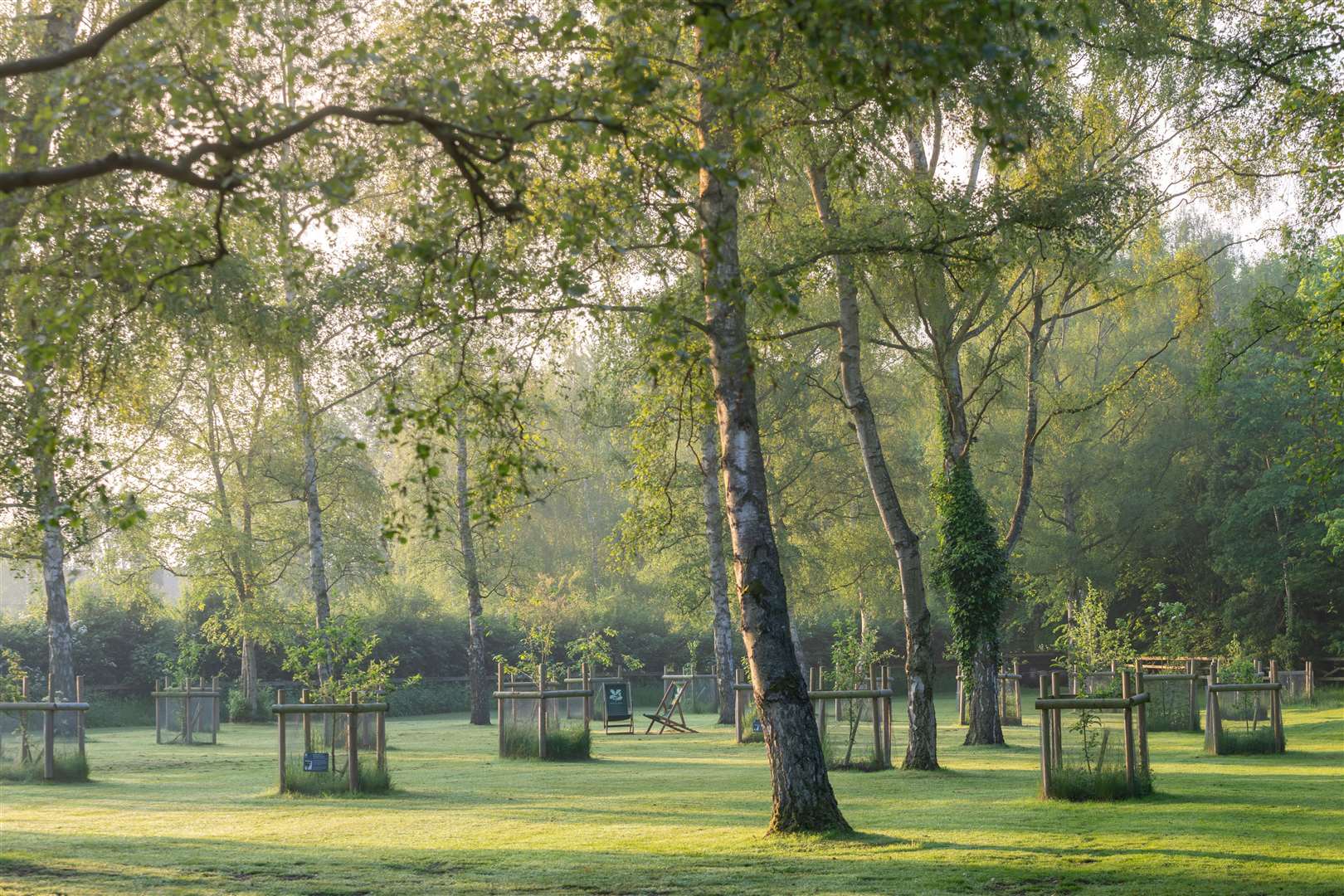 The new Heritage Orchard at Anglesey Abbey, Cambridgeshire (Justin Minns/National Trust/PA)