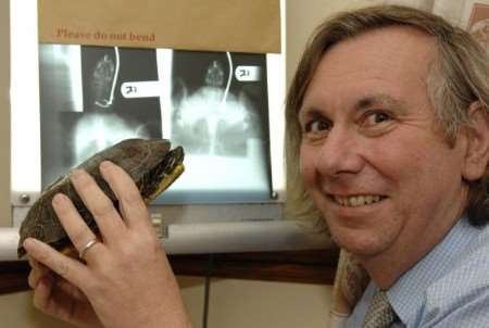 Vet Jeremy Stattersfield with the terrapin