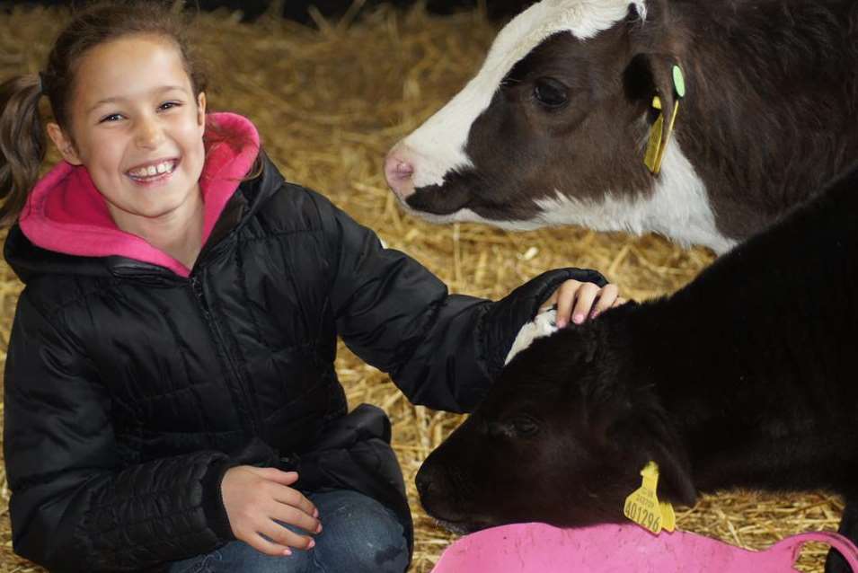 Farming World has been a much-loved family attraction