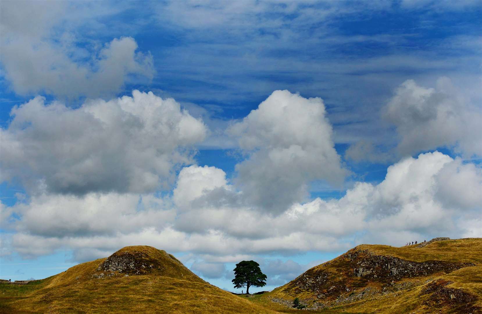 The landmark was a popular photography location on Hadrian’s Wall (PA)