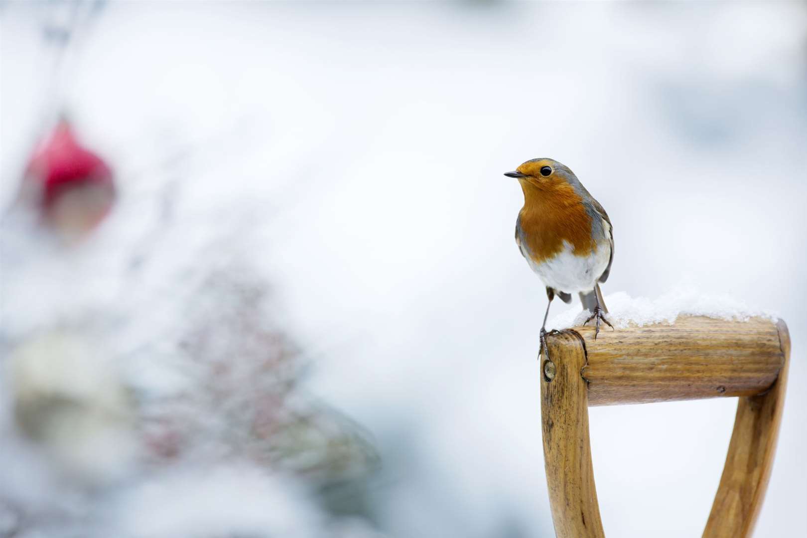 Snow is expected to steadily turn to ice as temperatures drop