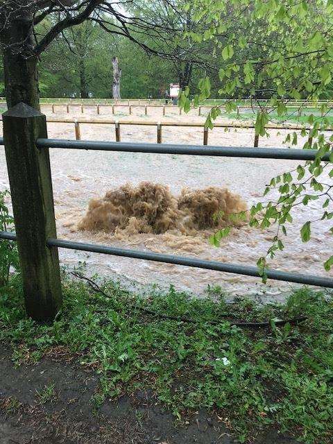 Sewage leak at Mote Park (1709993)