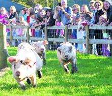 Farm makes 'please visit us' appeal