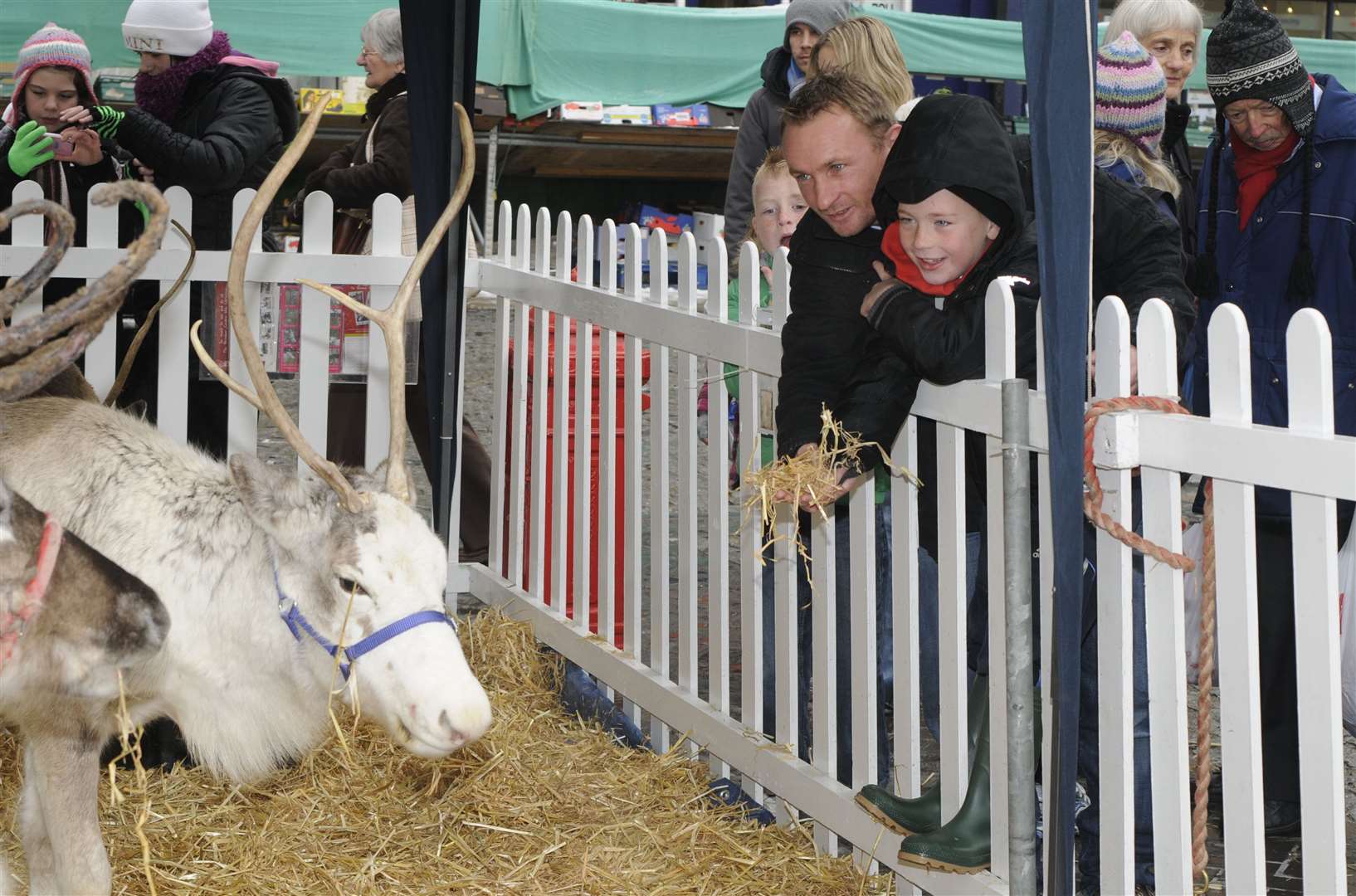 Animal Aid protesters picket Dover District Council over Market Square