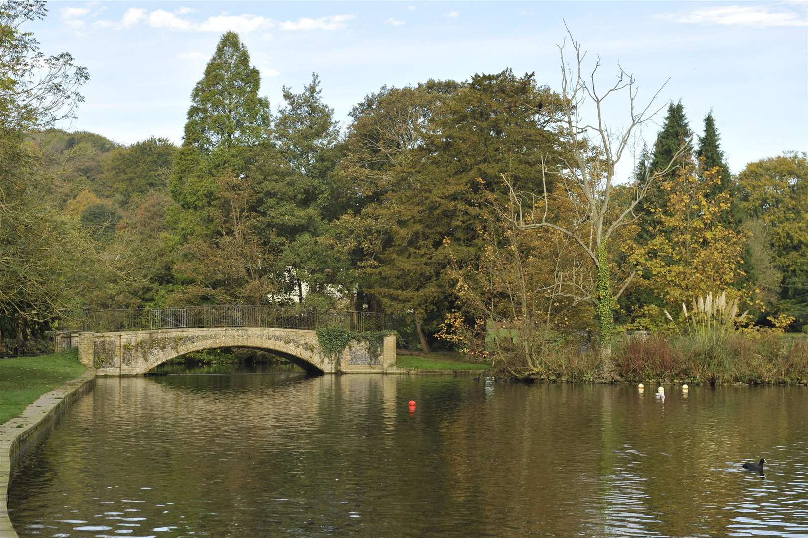 Kearsney Abbey, general scene..Picture: Tony Flashman