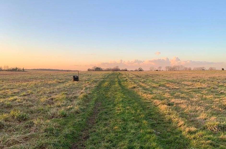 The site of the proposed new nature reserve at Hammill Field