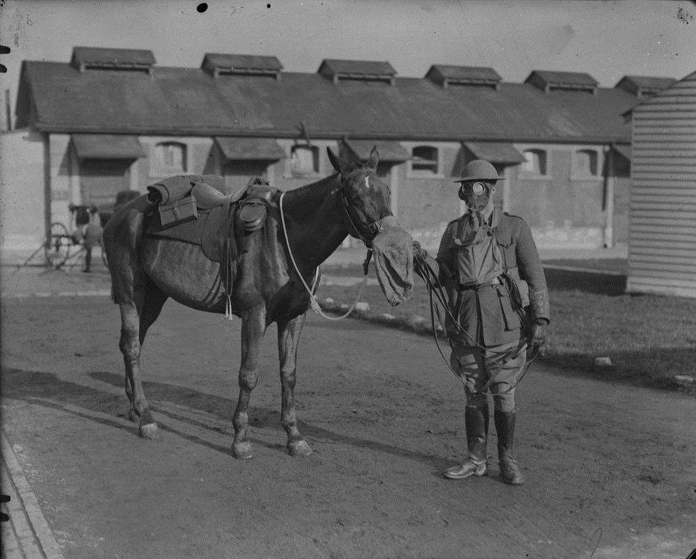 The former stable block could be torn down. Picture: Shorncliffe Trust