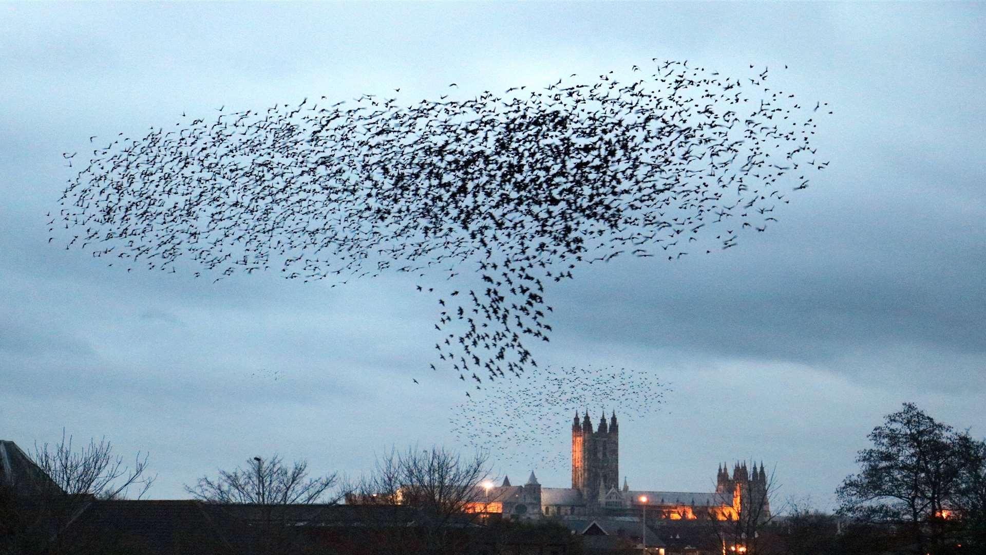 Pictures like this by Jim Higham will be on show at Smallhythe Place