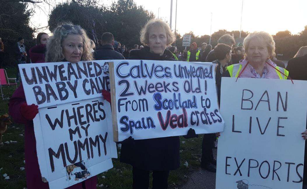 Campaigners at the port this evening (5309453)