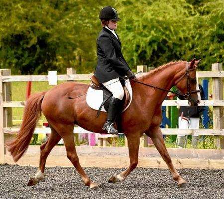 Samantha Nathan and Solo. The Iwade resident has appealed to drivers to slow down for horses after she was nearly involved in two road accidents recently.