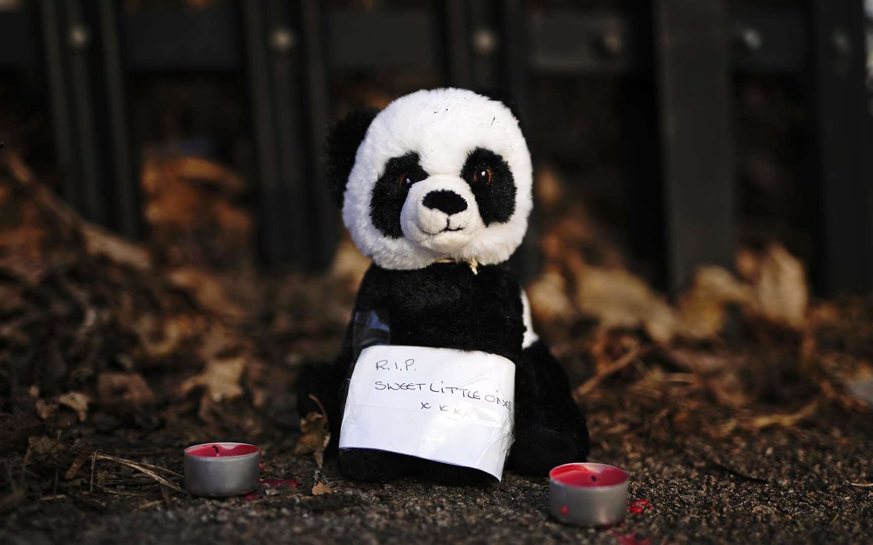 A tribute left near the scene in Sutton (Aaron Chown/PA)