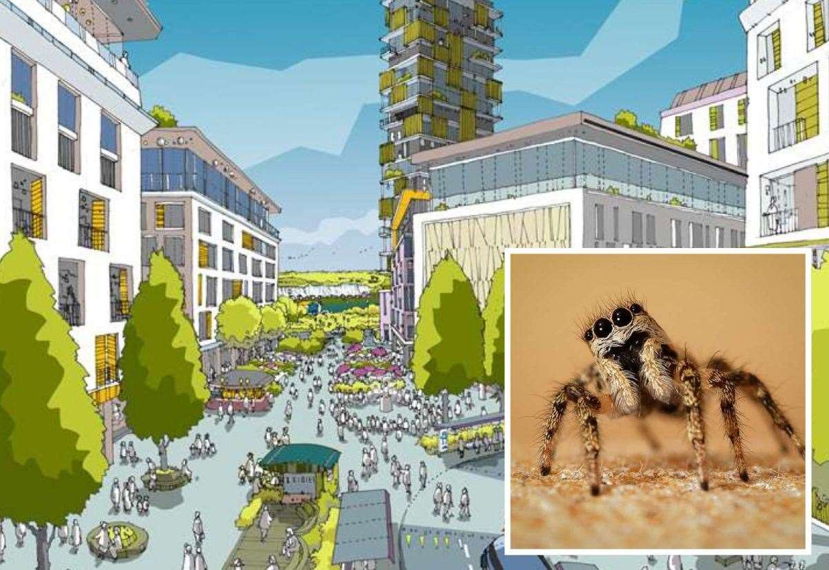 Spider Halt: 1,300 Homes Delayed in Ebbsfleet Garden City Project