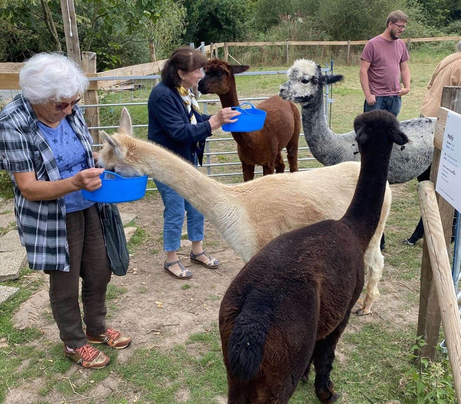 Visitors can join feeding time on the farm