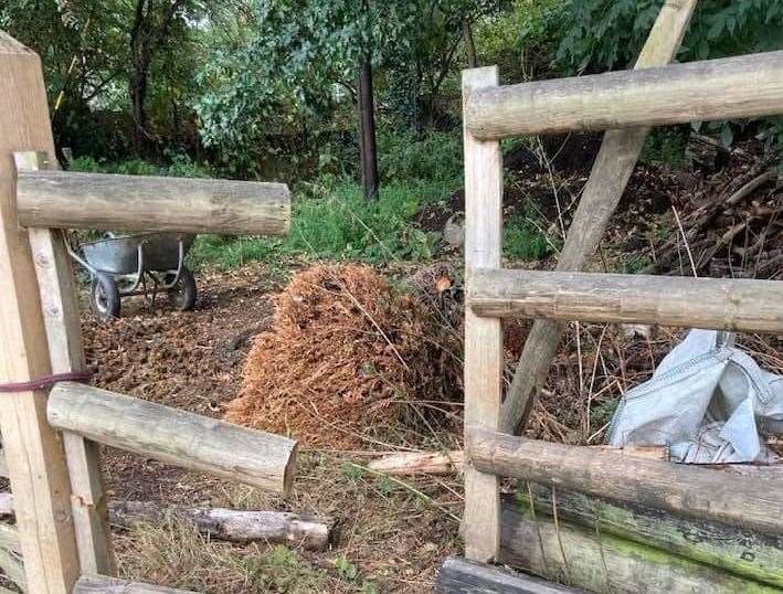 They managed to break their way through the fence