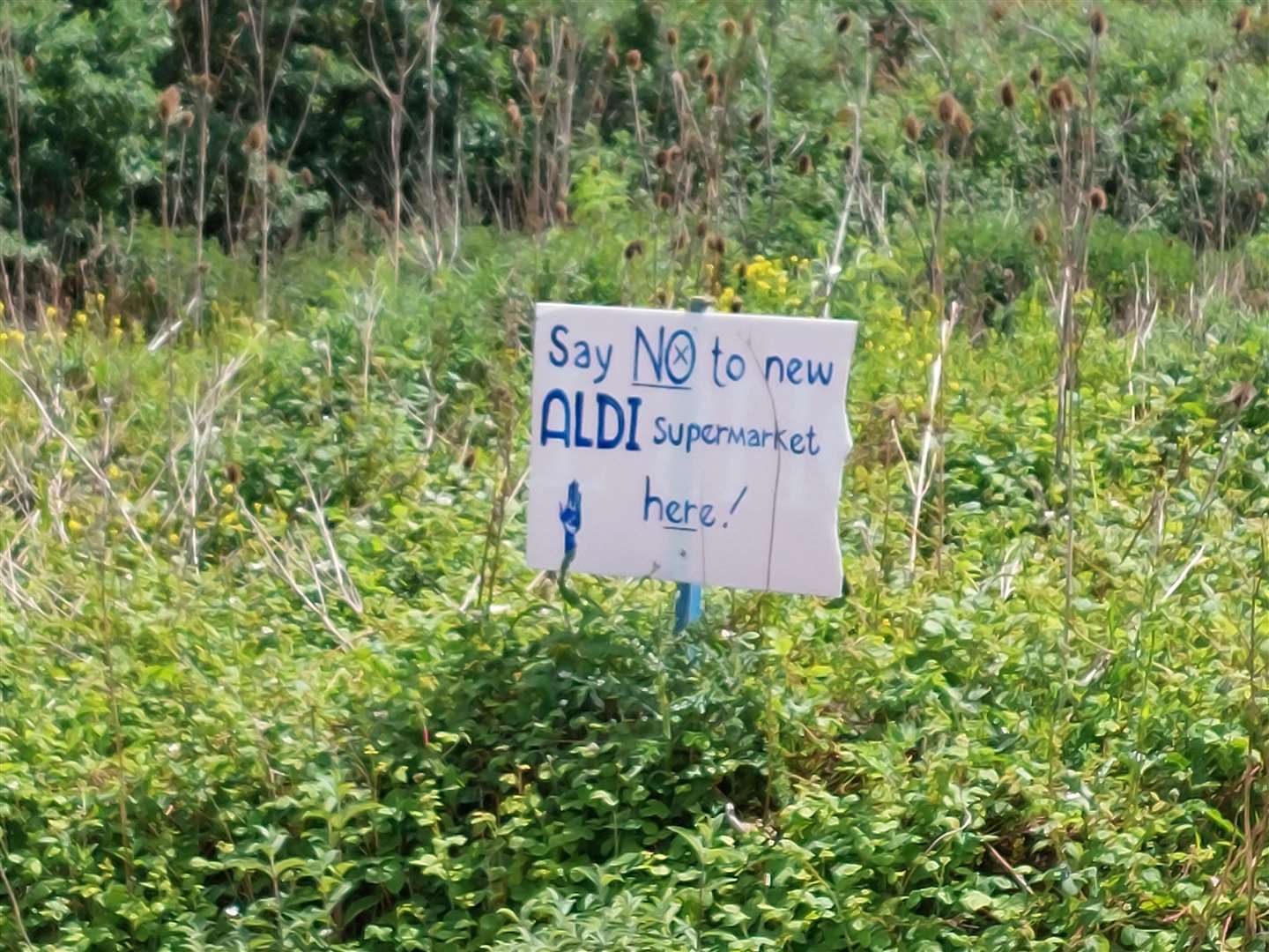 Signs have been put up to protest a proposed new Aldi store in Canterbury Road (56888149)