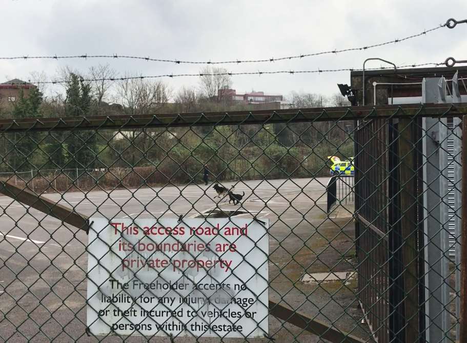 Police dogs were being trained at the Power Hub site