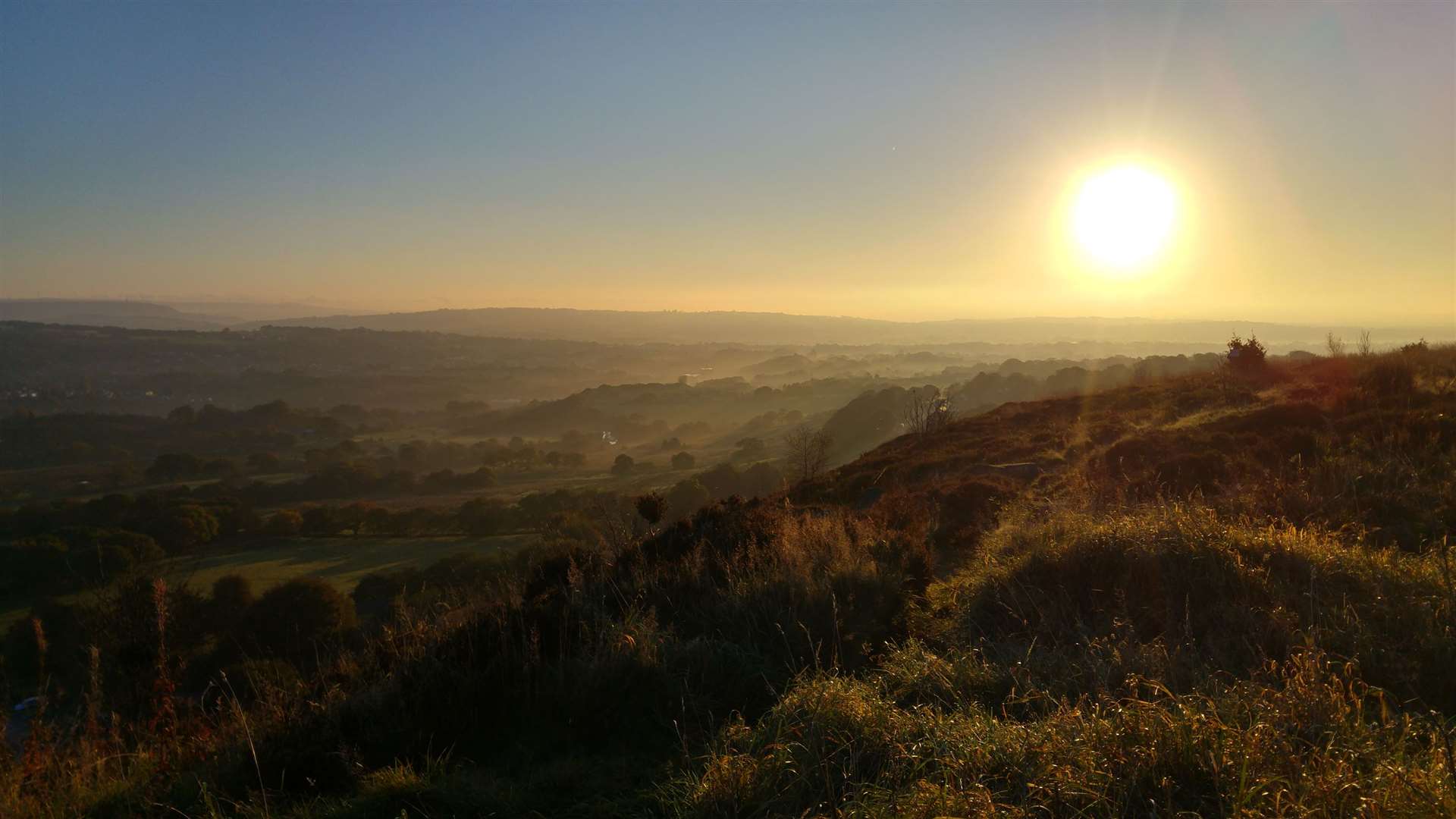 Planting has taken place across the North (Woodland Trust/PA)