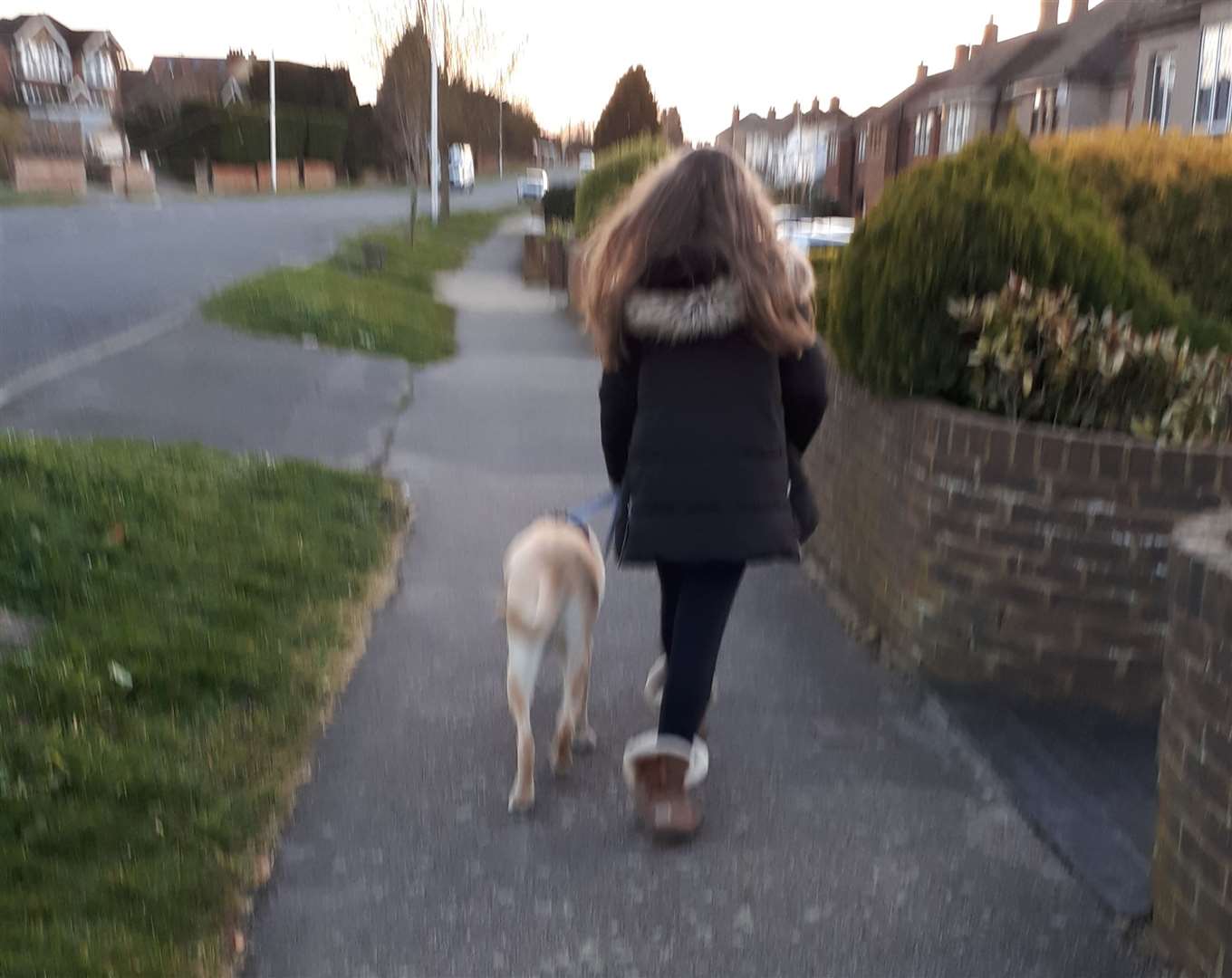 Polly and her therapy dog, Bailey