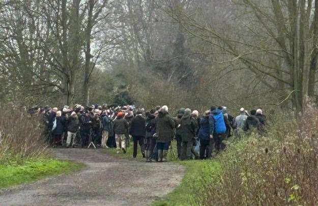 Huge crowds flocked to see the yellow warbler in the Maidstone area. Picture: Neil Colgate