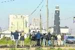 Twitchers line up see the rare visitor near Dungeness power station