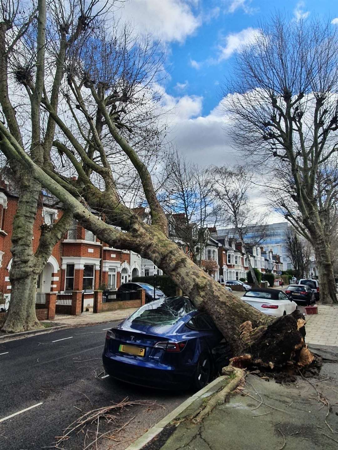 A fallen tree on top of a blue Tesla (@thevalerieleon/PA)