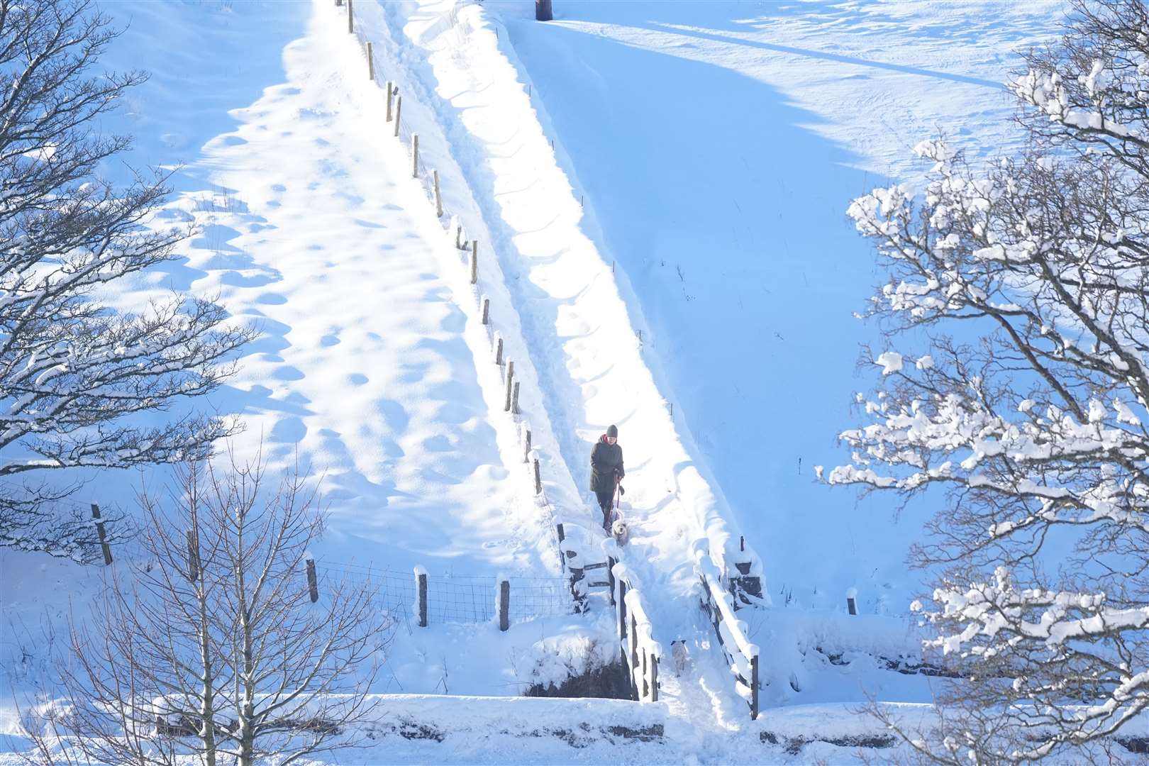 A dog walker makes his way through the snow (Owen Humphreys/PA)