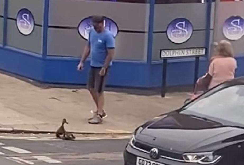 A family of ducks brought traffic to a standstill in Herne Bay after ending up in the town centre. Picture: Claire Caskey