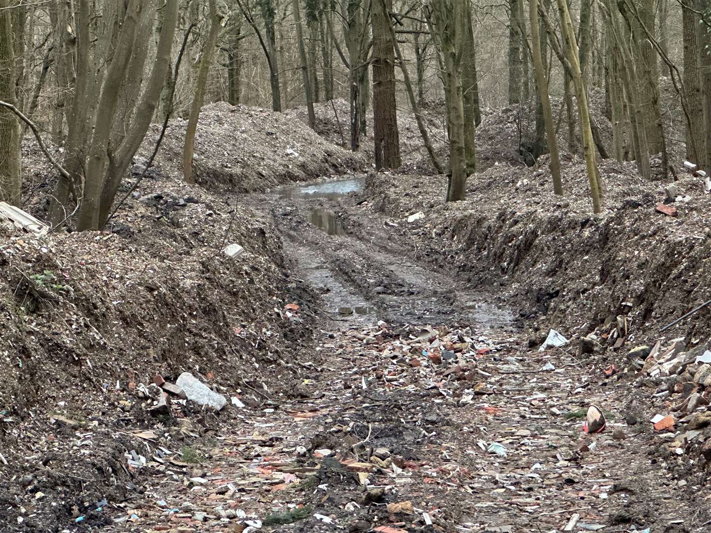 The government is being called to pay the full cost of clearing tonnes of dumped rubbish at Hoad's Wood in Ashford. Picture: Kent Wildlife Trust