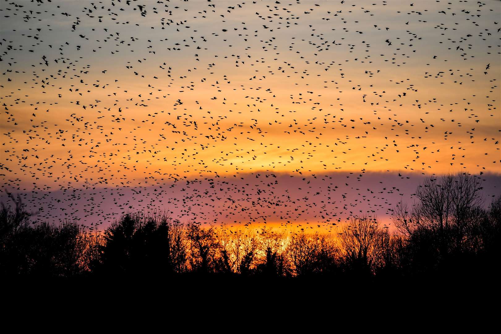 A murmuration of starlings pass Glastonbury Tor as they fly off to roost on the Somerset Levels at sunset (Ben Birchall/PA)