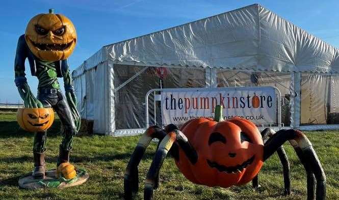 Many of the pumpkin patches will be decorated for Halloween. Picture: Facebook / PYO Pumpkins Riverside Farmers