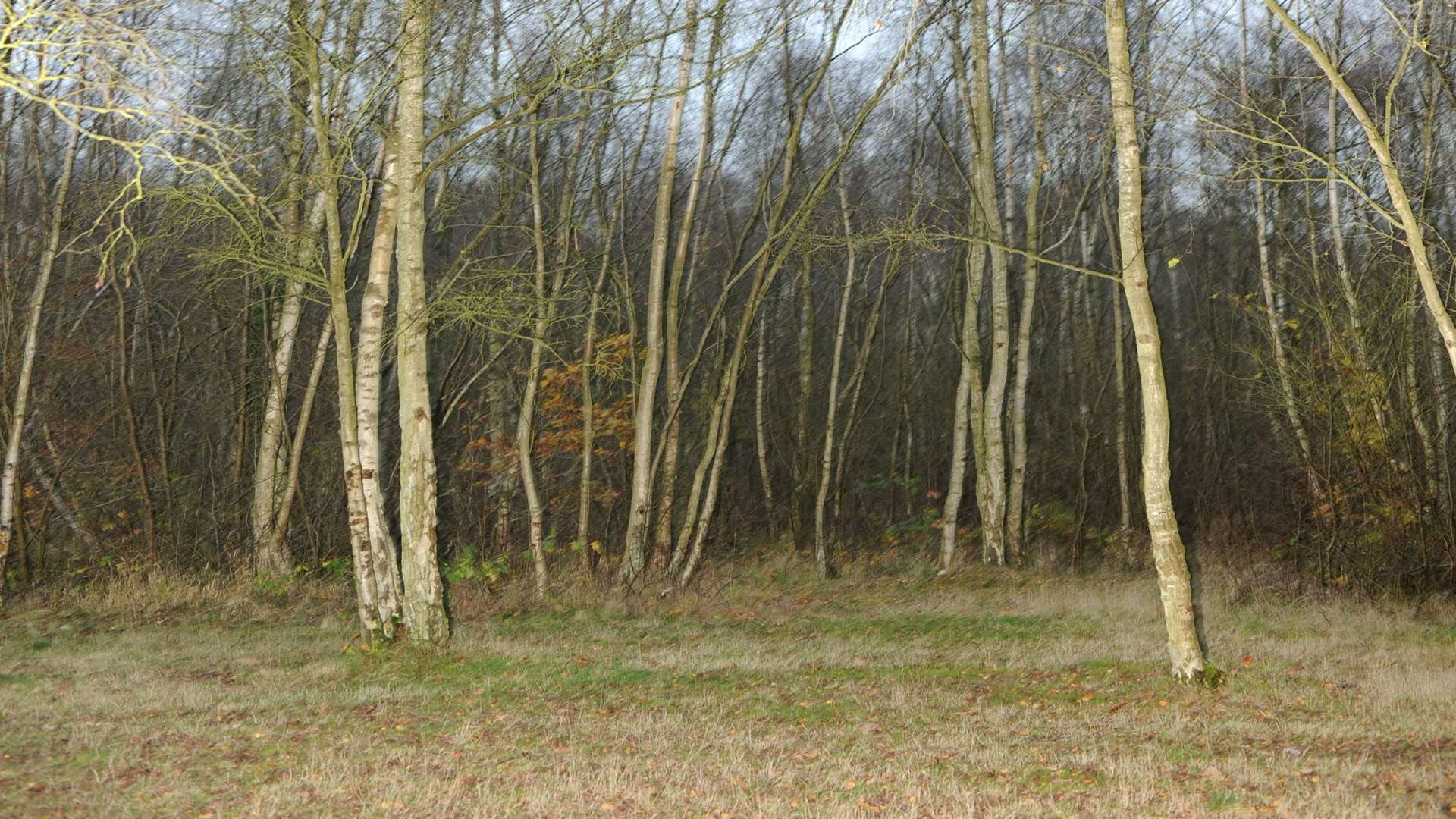 Beacon Wood Country Park