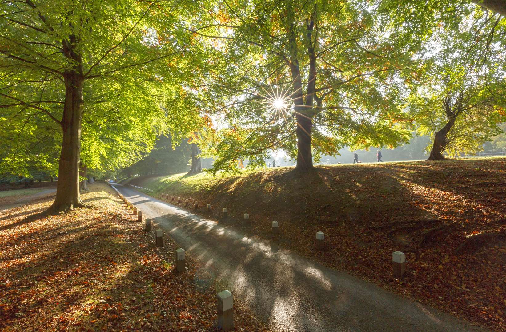 Mote Park in Maidstone. Picture: Maidstone Borough Council