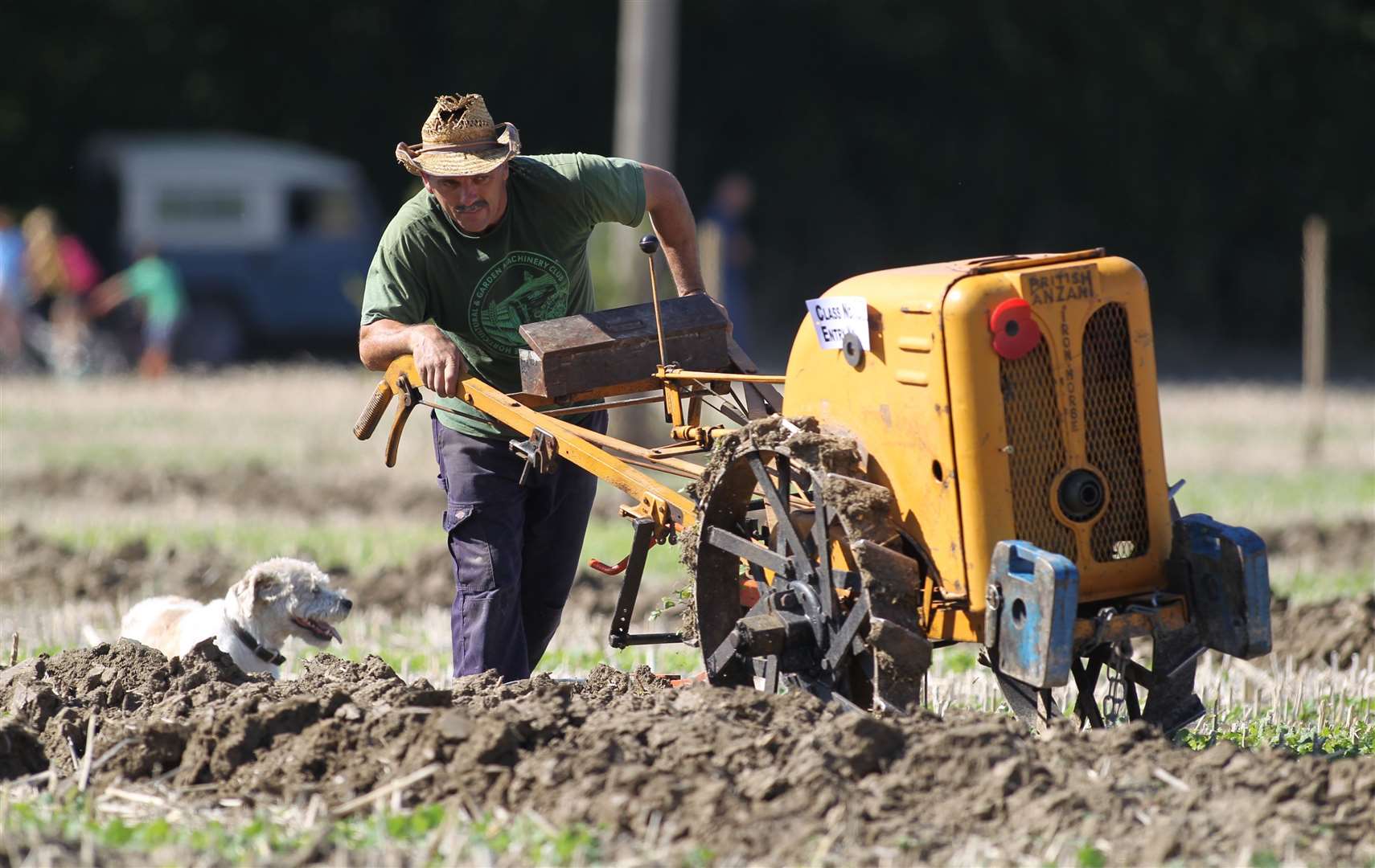 One man went to plough…with his dog. Photo: John Westhrop