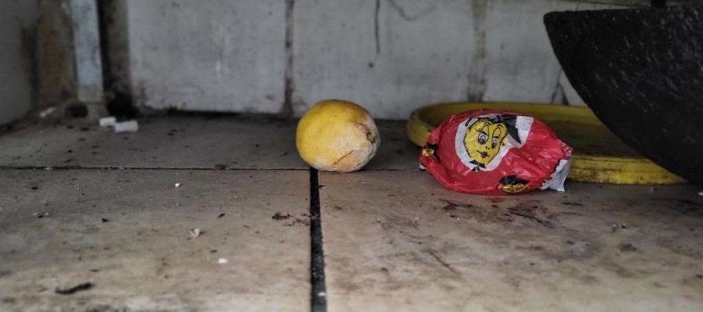 A mouldy lemon was discovered under a sink. Picture: Swale Borough Council.