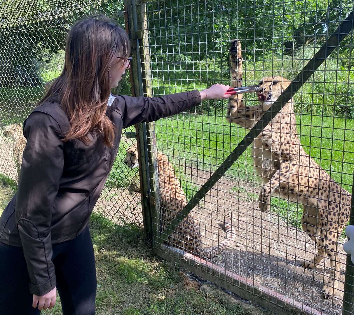 The experience involved a 30-minute feed and chat with the keeper