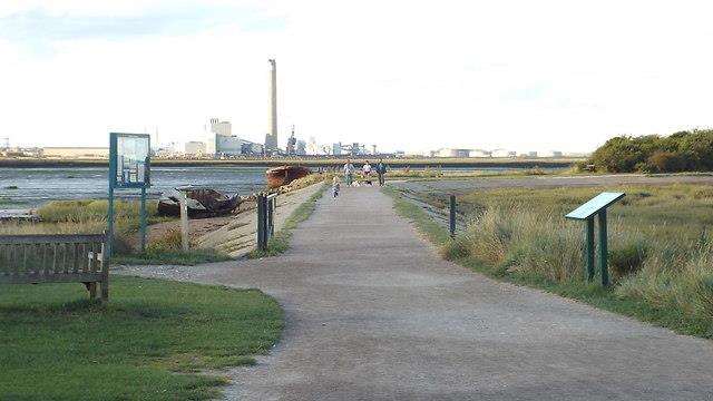 Ted has been spotted near Riverside Country Park, in Gillingham