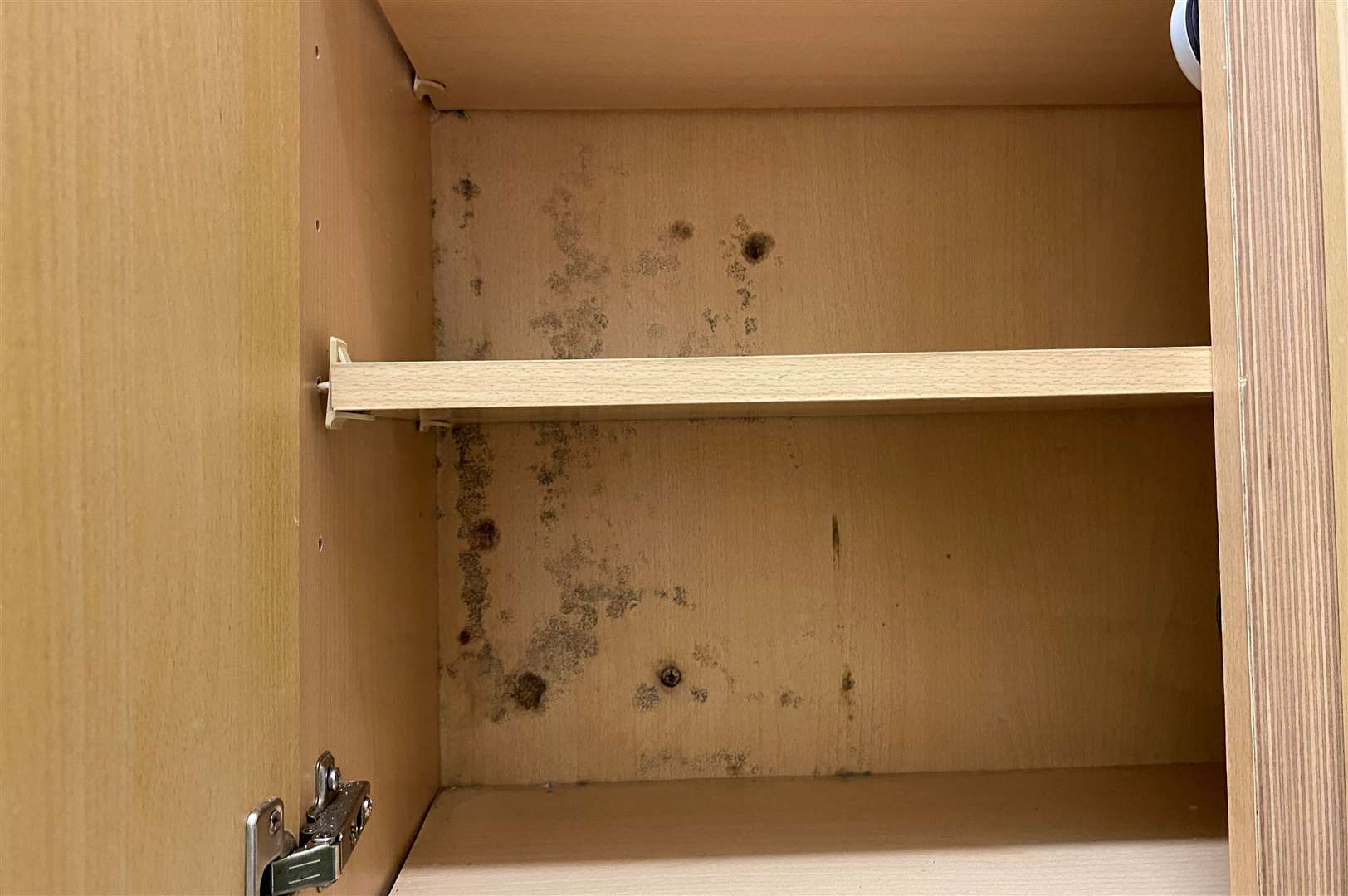 Cupboards in the kitchen are wet and damp, causing the growth of mould